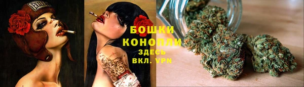 spice Каменка