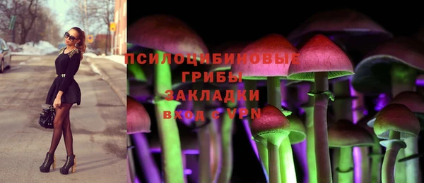 СК Кинешма