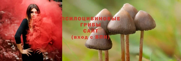 СК Кинешма