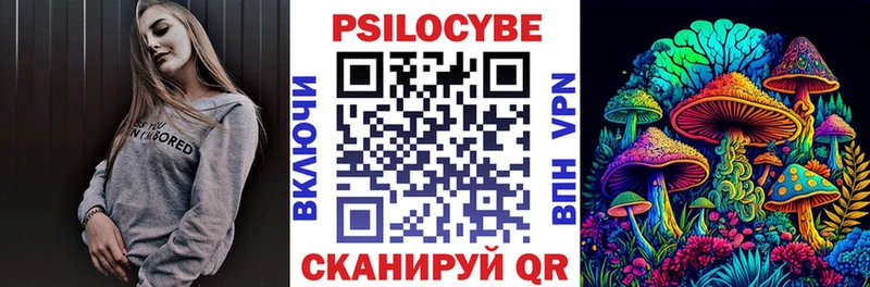 Галлюциногенные грибы Psilocybe  купить наркотики сайты  Бердск 