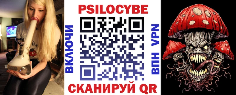 Псилоцибиновые грибы Cubensis Бердск
