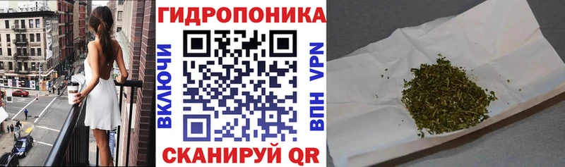 где купить наркоту  Бердск  Бошки марихуана AK-47 